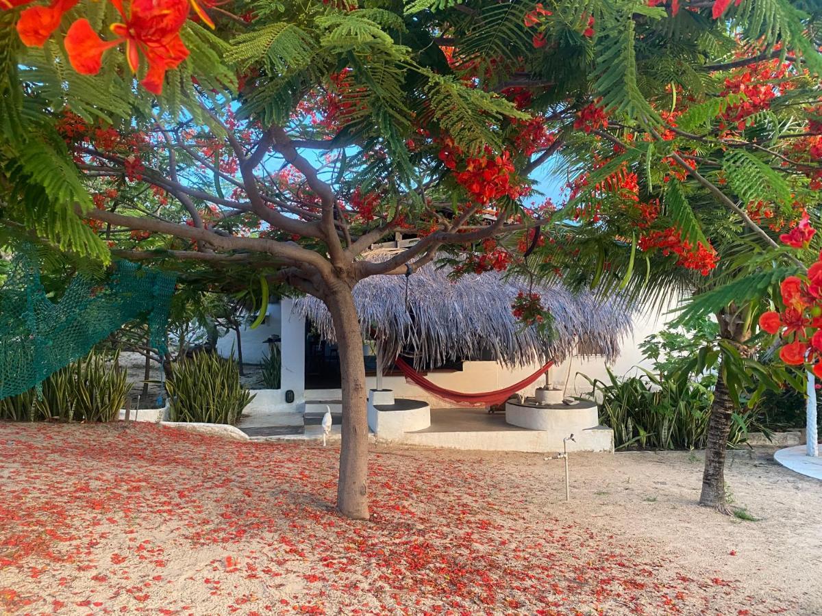 Casa Acquamarina Hotell Atins Exteriör bild